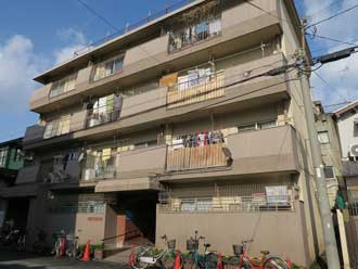 ��C���� ���� �V������ LET'S�n�C�c No.5 ��C�{�� �V������